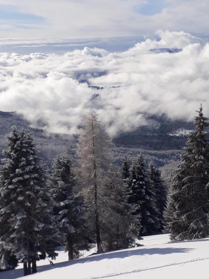 Tambre dʼAlpago Da C I S A Bed & Breakfast エクステリア 写真