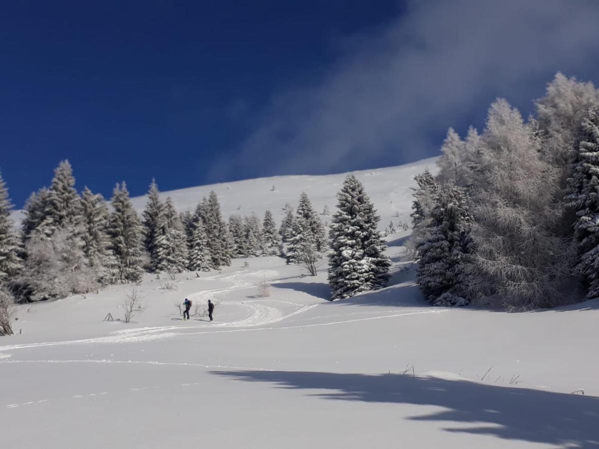 Tambre dʼAlpago Da C I S A Bed & Breakfast エクステリア 写真