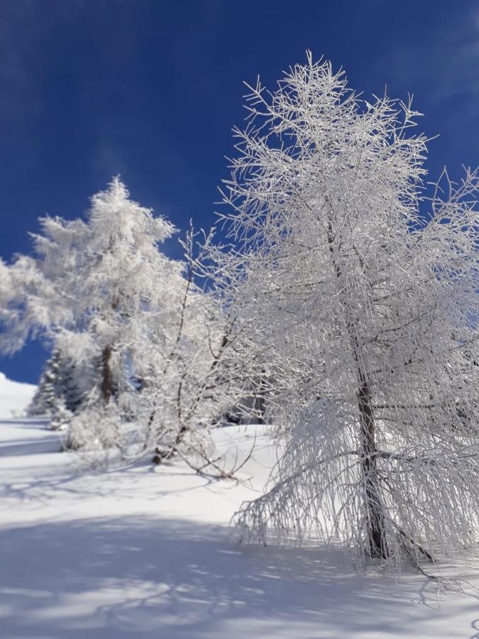 Tambre dʼAlpago Da C I S A Bed & Breakfast エクステリア 写真
