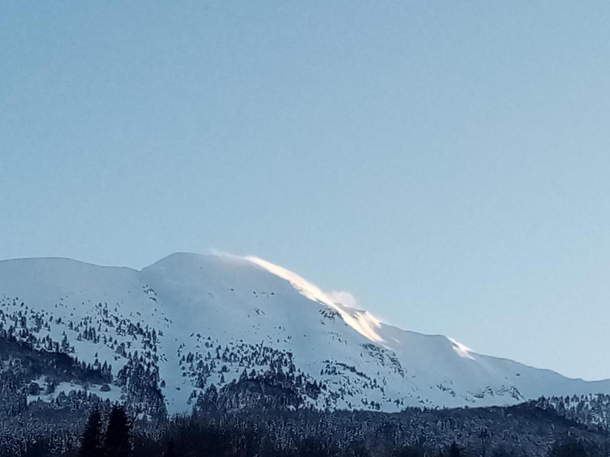 Tambre dʼAlpago Da C I S A Bed & Breakfast エクステリア 写真
